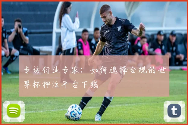 专访行业专家:如何选择合规的世界杯押注平台下载