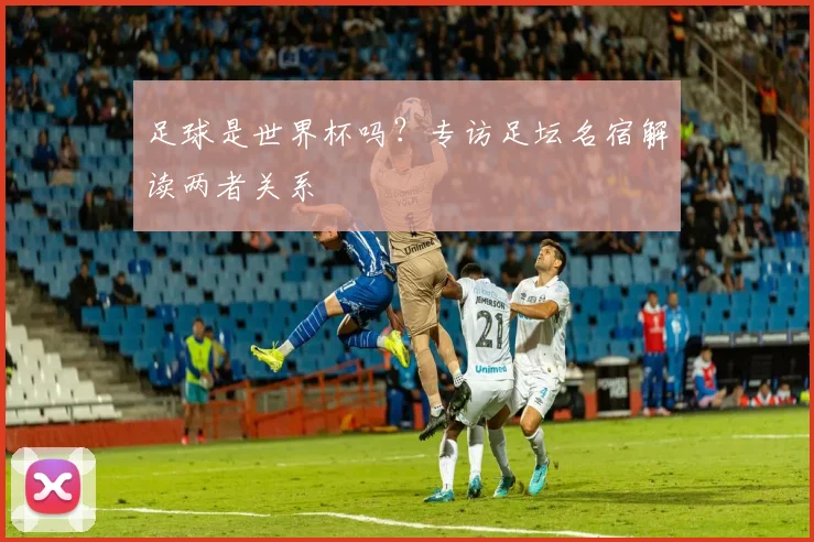 足球是世界杯吗？专访足坛名宿解读两者关系