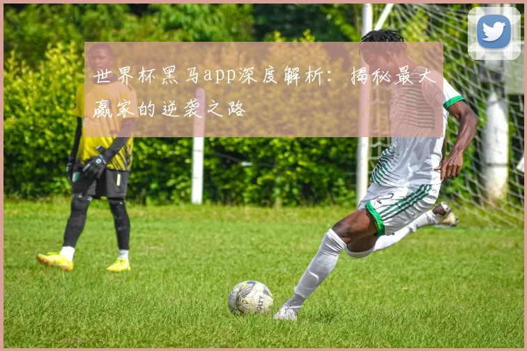 世界杯黑马app深度解析:揭秘最大赢家的逆袭之路