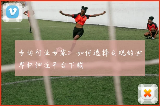专访行业专家:如何选择合规的世界杯押注平台下载