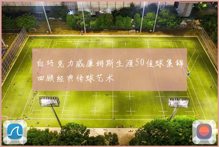 白巧克力威廉姆斯生涯50佳球集锦回顾经典传球艺术