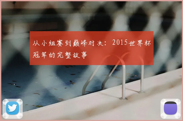 从小组赛到巅峰对决：2015世界杯冠军的完整故事