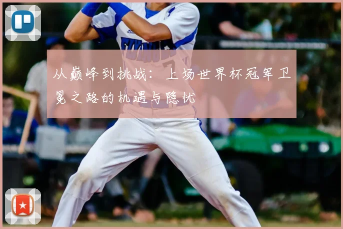 从巅峰到挑战：上场世界杯冠军卫冕之路的机遇与隐忧