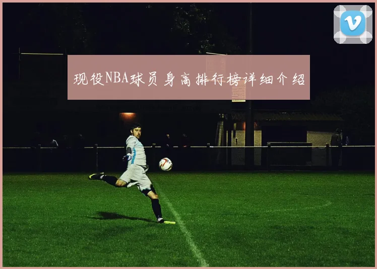 现役NBA球员身高排行榜详细介绍