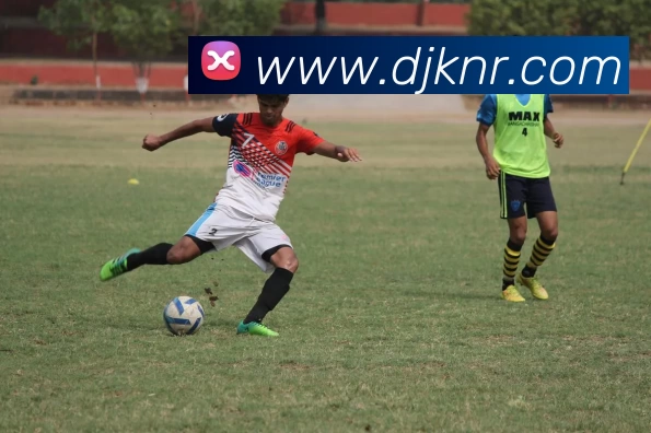 华体会体育平台生态图